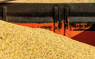 Le marché des cérales est orienté à la hausse