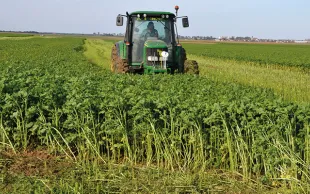 Connaitre les fournitures en éléments fertilisant des couverts.