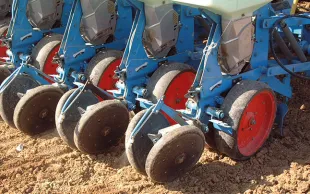 Conditions requises pour l'extension des zones de semis du tournesol