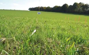 Quels seraient les effets d'une réduction des herbicides disponibles