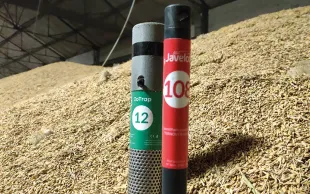 Des pièges connectés pour surveiller les insectes dans les silos