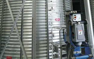 Test de modalités de stockage avec ou sans insecticides chimiques