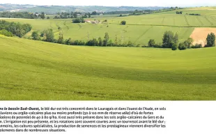 Où cultive-t-on du blé dur en France ?