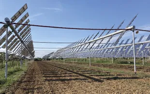 La filière agrivoltaïsme portée par les besoins en énergie