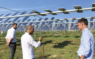 Les dispositifs agrivoltaïques compatibles grandes cultures