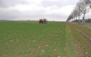 La gestion durable des adventices pour désherber l'orge de printemps