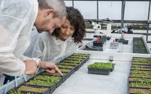 R&D d’Arvalis : seize nouveaux projets débutent en 2023 !