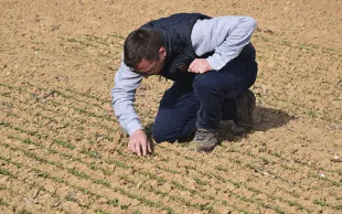 La nouvelle version de Vigicultures sort cet été