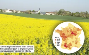 Le point sur l'état du marché des grandes cultures bio