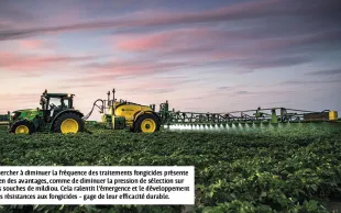 Protection intégrée contre le mildiou de la pomme de terre