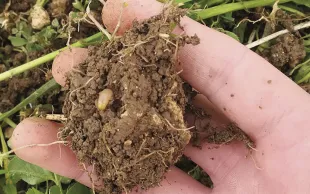 Service Agro-Eco Sol: un transfert réussi du labo vers l'agriculteur