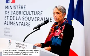 Le plan Ecophyto 2030 priorisera la recherche d’alternatives aux phytos menacés de retrait