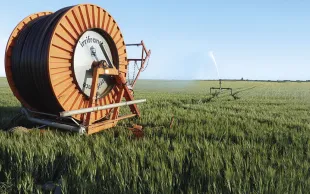 S’adapter au changement climatique pour préserver la rentabilité des exploitations