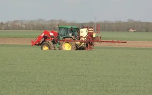 Diagnostiquer et prévenir la présence de la fusariose sur maïs grain