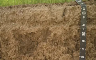 Prévenir les tassements du sol en surface et surtout en profondeur