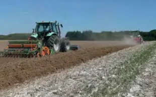 Enquête sur les pratiques françaises de désherbage en colza