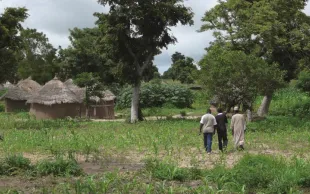 Les multiples services agricoles de l'arbre