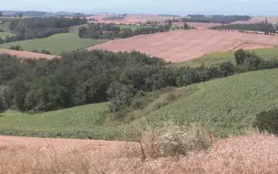 L'expansion des surfaces de grandes cultures bio suit la demande