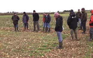 Un réseau d'agriculteurs du Berry tournés vers l'innovation au champ