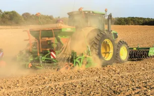 Bilan de campagne « Céréales à paille » 2019 : un bon cru aux causes inattendues