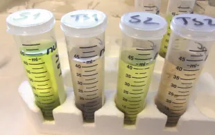 18 indicateurs de la vie du sol évalués par le projet Microbioterre