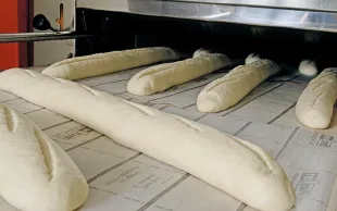 Blé tendre : de nouvelles variétés reconnues pour leur qualité meunière par l'ANMF