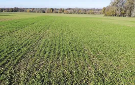 Les tendances climatiques de ces vingt dernières années montrent qu’en un lieu donné, la date moyenne de semis d’une prairie devrait progressivement reculer.