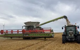 Agritel estime le rendement du blé tendre à 73 q/ha