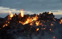 Entrainant des feux d'ampleur inédite, les pics de température de l'été sont provoqués par le réchauffement climatique.