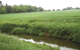 Le plan d’action permet de diviser par deux une concentration en nitrate dans les eaux souterraines.