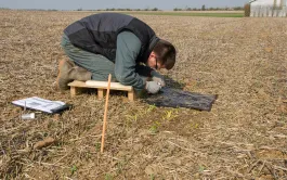 Observer les limaces par piégeage : nombre, nature et localisation des pièges,  fréquence des rélevés…