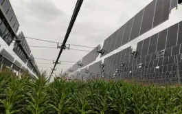 Le démonstrateur d’ombrière photovoltaïque est déployé sur 3 ha de grandes cultures (ici avec ses panneaux repliés pour laisser passer la pluie). 