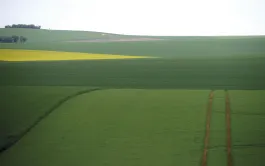 La ferme-type « Plateaux de Bourgogne » est représentative des exploitations situées sur les plateaux de Bourgogne, à faible potentiel, et de leurs pratiques agricoles : rotation colza-blé-orge, fertilisation, non labour, matériels...