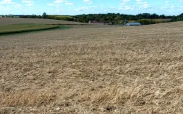 Caractéristiques de la ferme fictive représentative du secteur des plateaux de Bourgogne