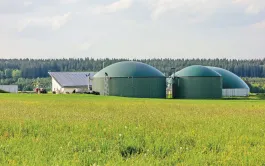 Près de 40% de l’énergie produite par la méthanisation pourrait être issue de CIVE.