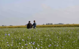 L’objectif de l’Observatoire de la fertilité des sols mis en place dans le nord de la France est de mieux connaitre le fonctionnement des sols, de préserver leur qualité et de permettre un meilleur pilotage des services écosystémiques.