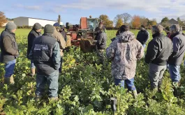 Dans l’approche « tableaux de bord », agriculteurs et conseillers choisissent ensemble des indicateurs (observations ou mesures) majoritairement visuels et relatifs. Ces derniers permettent d’évaluer qualitativement ou quantitativement les niveaux d’atteinte des états-clés des sols.