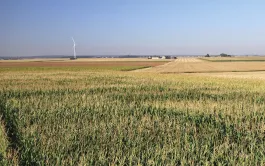 La ferme-type « Plaine de Lyon-Graviers »