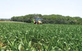 Le choix des herbicides foliaires utilisés en rattrapage doit s’effectuer en fonction des espèces à contrôler.