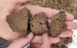 Il est essentiel d’observer son sol pour déterminer s’il est tassé. De gauche à droite : tassement sévère, tassement modéré avec présence de porosité biologique, sol poreux.