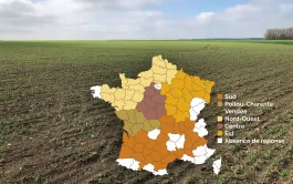 Les variations de dates de semis observées illustrent le nécessaire compromis entre la date optimale de semis pour le bassin considéré et les conditions de ressuyage ou d’éventuel gel du sol.