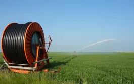 Contrairement à ce que souffle le sens commun, en l’absence de stress hydrique, le maïs ne consomme pas tellement plus d’eau (500 mm en moyenne) que le blé (435 mm en moyenne).