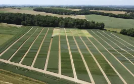 La station Arvalis de Montaut-les-Créneaux réalise ses essais dans des parcelles d’agriculteurs, en collaboration avec les coopératives locales.