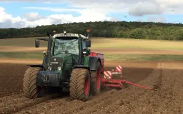 La date de semis reste la première recommandation pour lutter contre les graminées résistantes et les attaques de ravageurs.