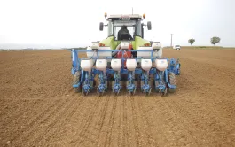 Le semis à 25cm a été réalisé en faisant deux passages consécutifs avec un semoir à 50cm et un guidage RTK parfaitement paramétré. On peut noter un sol refermé en lien avec le recroisement des roues de jauge.