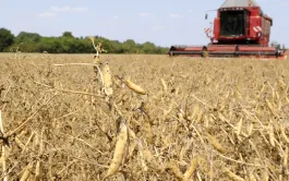 The Shift project : un scénario détaillé pour décarboner l'agriculture française