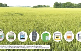 Huit biostimulants testés en conditions de plein champ par Arvalis