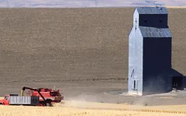 Analyser les facteurs déterminants des marchés agricoles