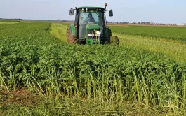 Connaitre les fournitures en éléments fertilisant des couverts.