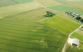 Performances du commerce extérieur agroalimentaire français